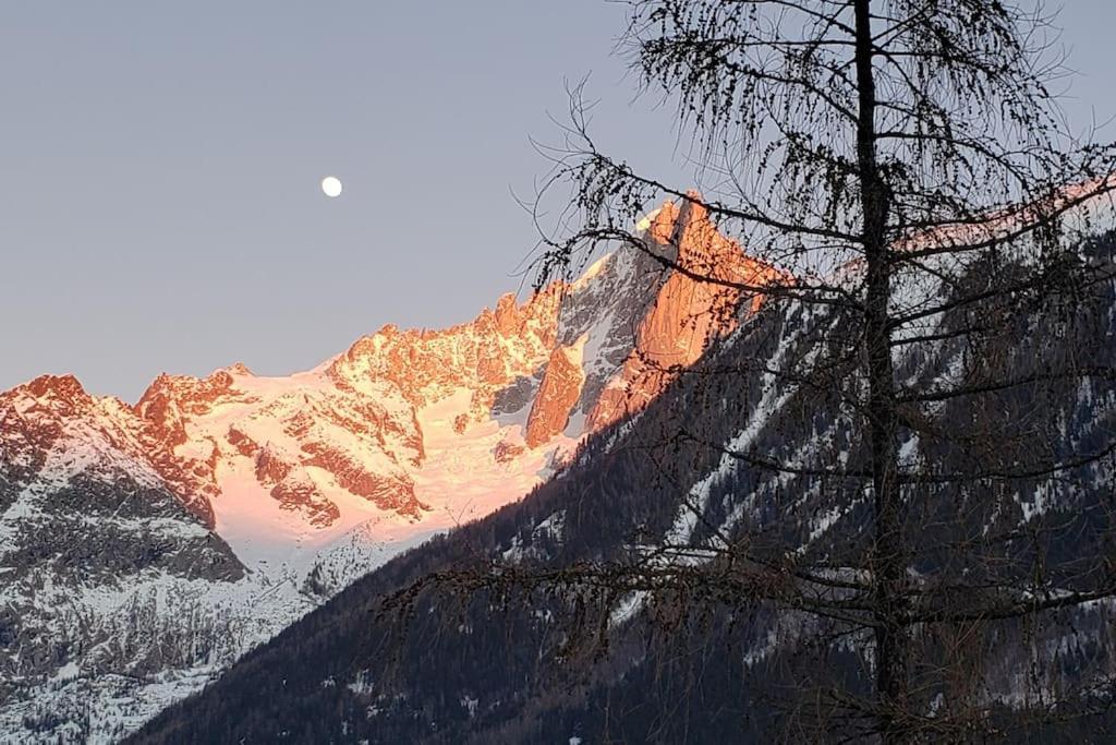 Bel Appartement Entier En Style Chalet A Chamonix Exteriér fotografie
